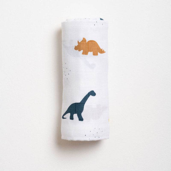 Aariro Swaddle - Little Dino - BabyAmore