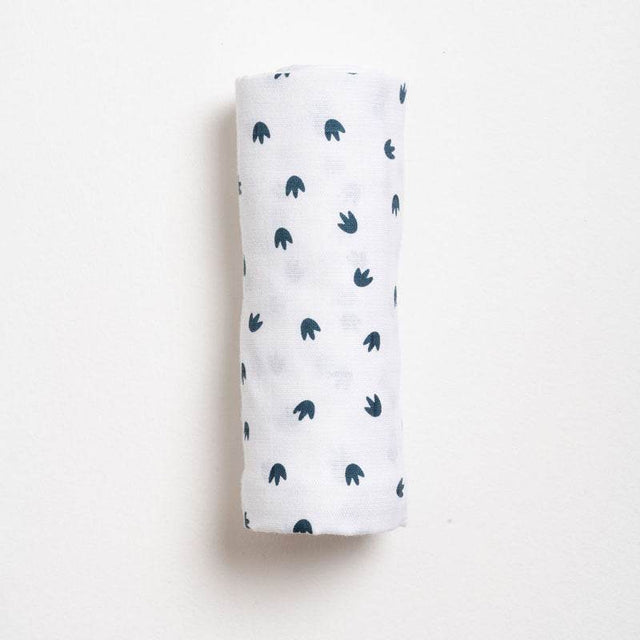 Aariro Swaddle - Little Dino Paw