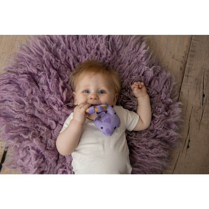 Little Rawr Wood Plush Rattle Teether Toy - BabyAmore