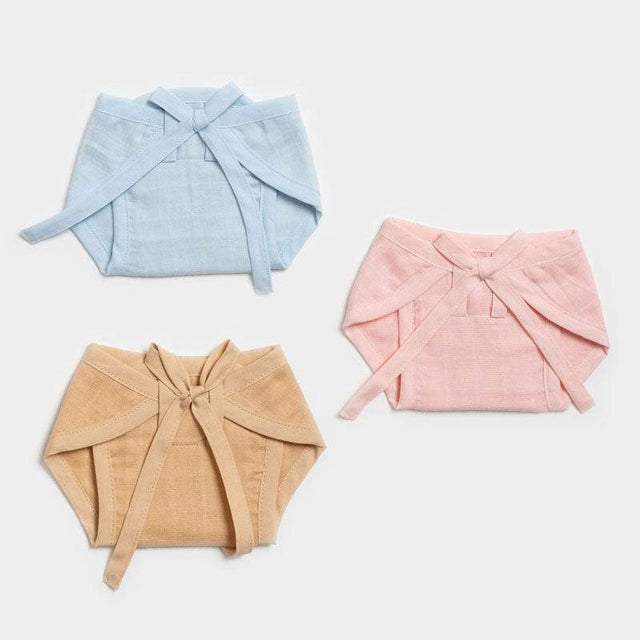 Aariro Nappy - Blue Pink Beige (3pcs)