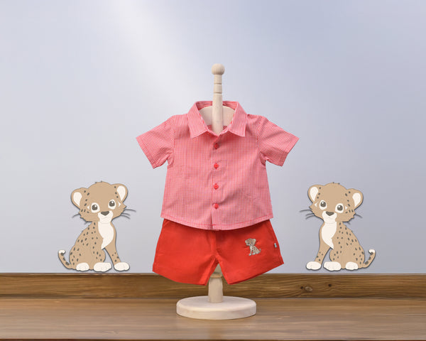 Blooms and Butterflies Boy Mini Kit - Tiger