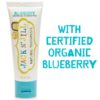 Buy Jack n' Jill Natural Toothpaste, Blueberry, 50g online with Free Shipping at Baby Amore India, Babyamore.in