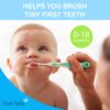 Buy Brush-Baby My FirstBrush & Teether Set, 0-18 months - Blue & White online with Free Shipping at Baby Amore India, Babyamore.in