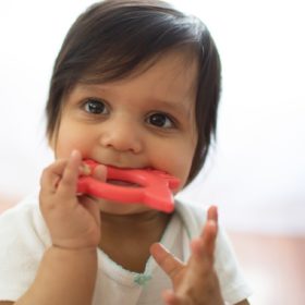 Buy Dr. Brown’s Flexees Friends Fox Teether online with Free Shipping at Baby Amore India, Babyamore.in