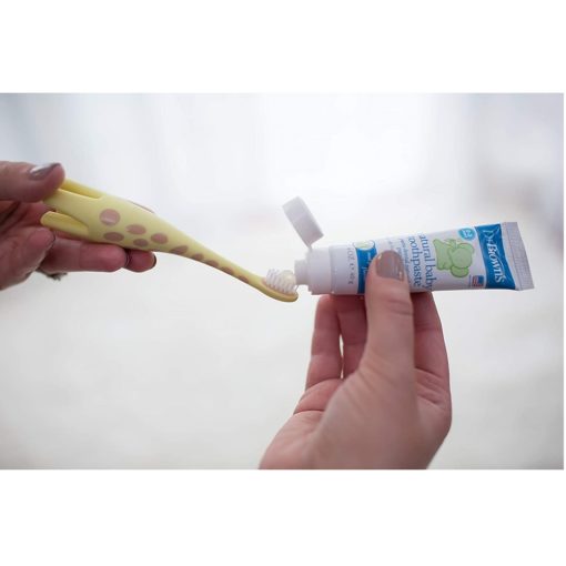 Buy Dr. Brown's Infant-to-Toddler Toothbrush, 0-3 years - Giraffe online with Free Shipping at Baby Amore India, Babyamore.in