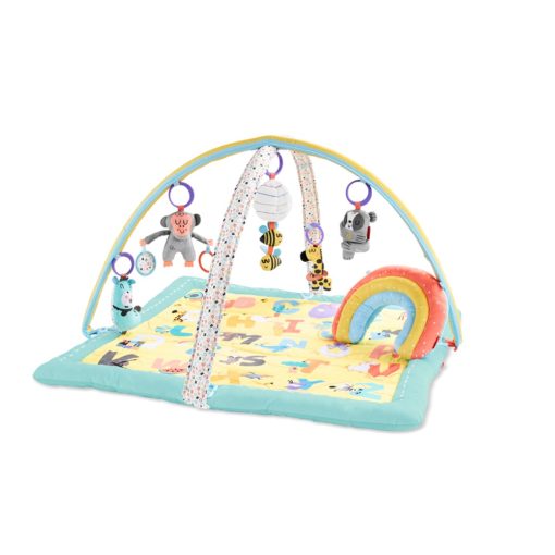 Buy Skip Hop ABC & ME Activity Gym online with Free Shipping at Baby Amore India, Babyamore.in