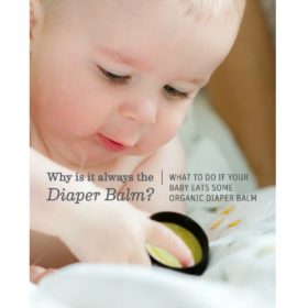 Buy Earth Mama Organic Diaper Balm -2 fl. oz./60ml online with Free Shipping at Baby Amore India, Babyamore.in