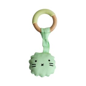 Buy Little Rawr Wood Plush Rattle Teether Toy - Bear online with Free Shipping at Baby Amore India, Babyamore.in