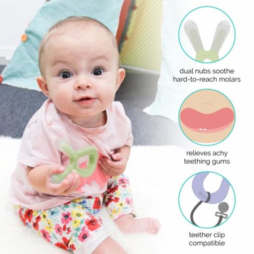 Buy ZoLi Bunny Teether online with Free Shipping at Baby Amore India, Babyamore.in